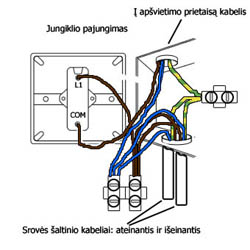 jungiklio-pajungimas